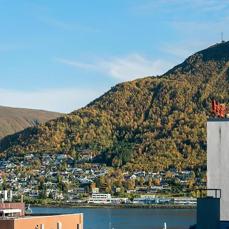 Enter - Historic Arctic