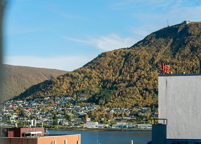 Enter - Historic Arctic